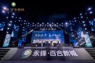 永锋·百合新城产品发布会暨庞龙演唱会盛大启幕，互联网信息服务点亮武城新篇